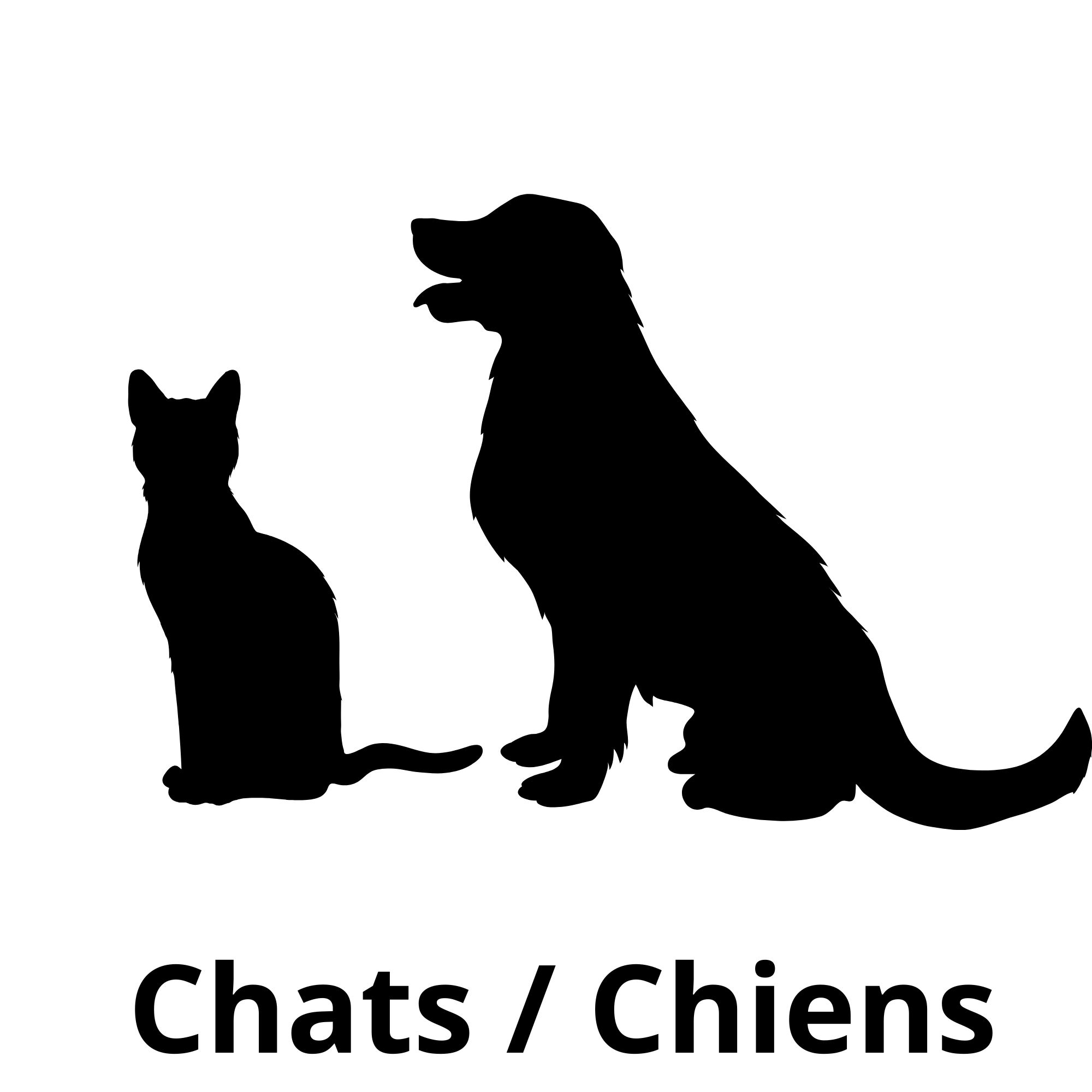 Chats et Chiens